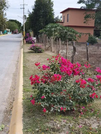 Enbelleciendo a nuestro Municipio Pesqueria Nuevo Leon