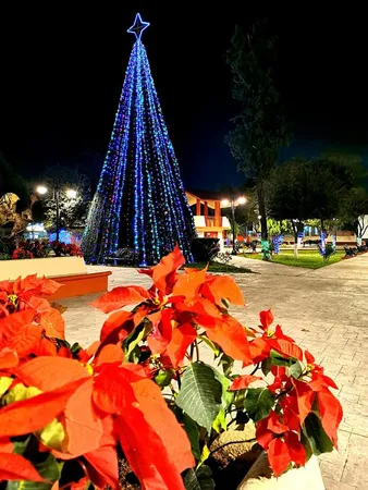 "PINO NAVIDEÑO" PLAZA PRINCIPAL DE PESQUERÍA NUEVO LEÓN MÉXICO