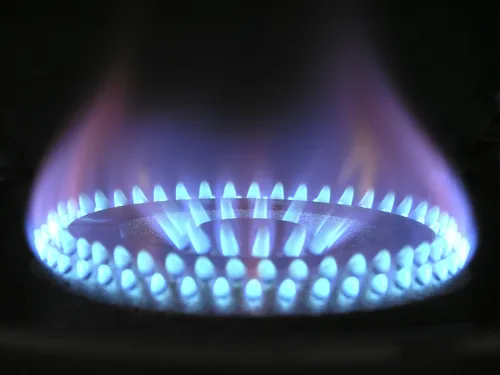 Los caminos del NITRÓGENO en los PROCESOS BIOLÓGICOS. Actividades  humanas que afectan el Ciclo General del Nitrógeno: Quema de combustibles fósiles