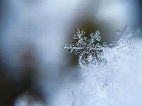 5 Minute Freewrite Day 445: The Big Freeze