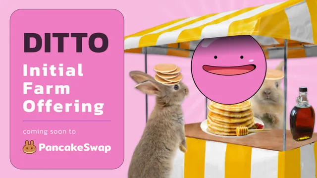 Pancake Swap Ditto Money IFO scheduled