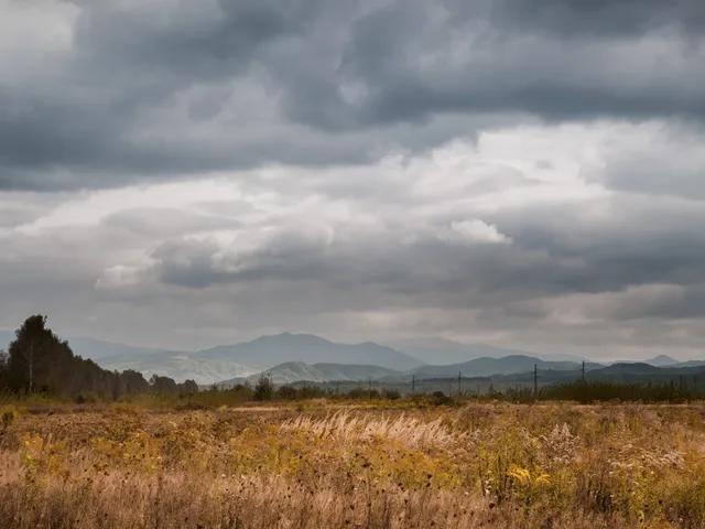 Carpathian landscape