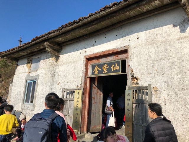金紫仙