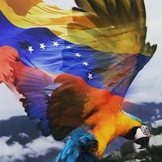 TO YOU MY DEAR VENEZUELA