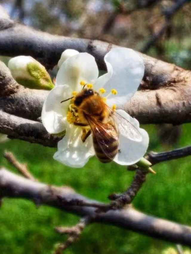 RE: My photography
