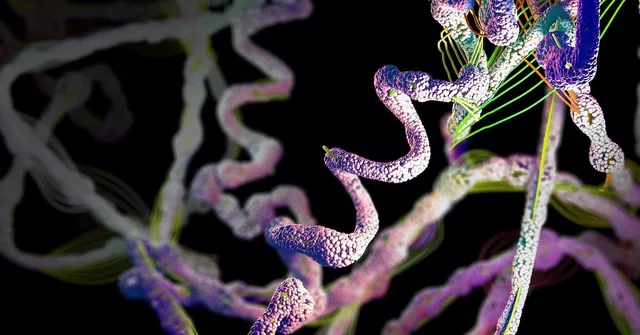 Thousands of These Computers Were Mining Cryptocurrency. Now They’re Working on Coronavirus Research