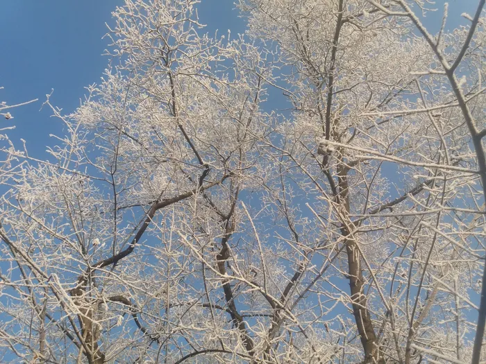20190113_091913.jpg