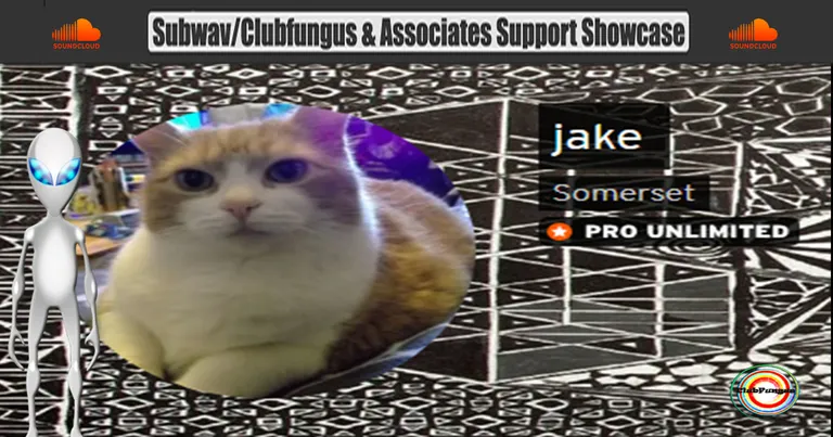 Jake - DJ Artist Playlist - Please show your support  🎧