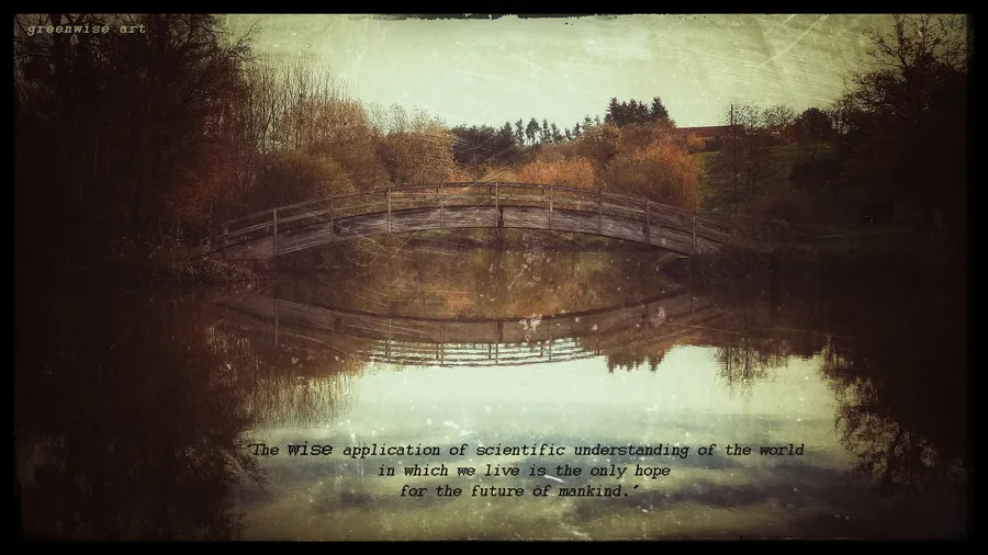 [Photo art] 'Wise Application'