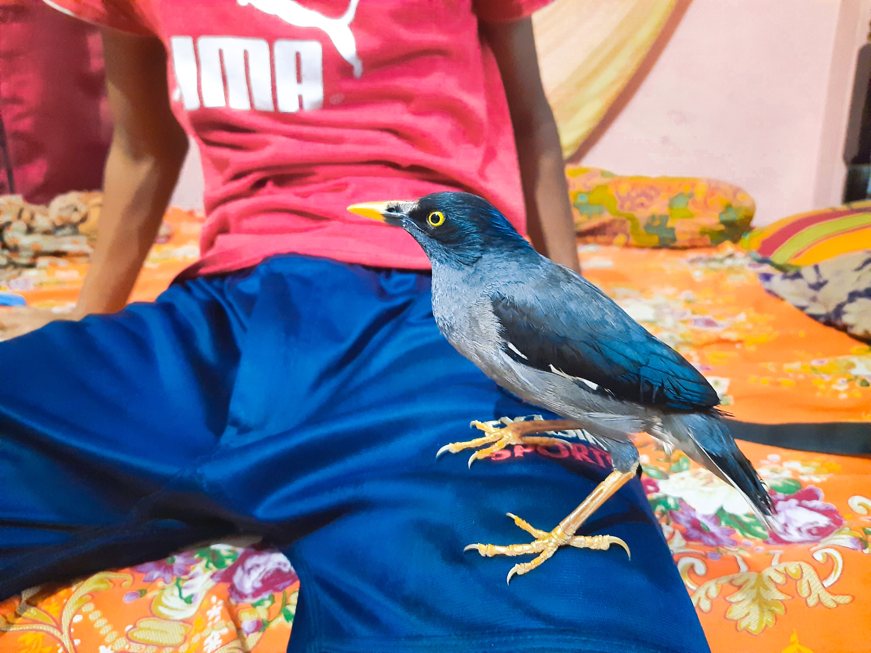 koloro_1621663986748.jpg
