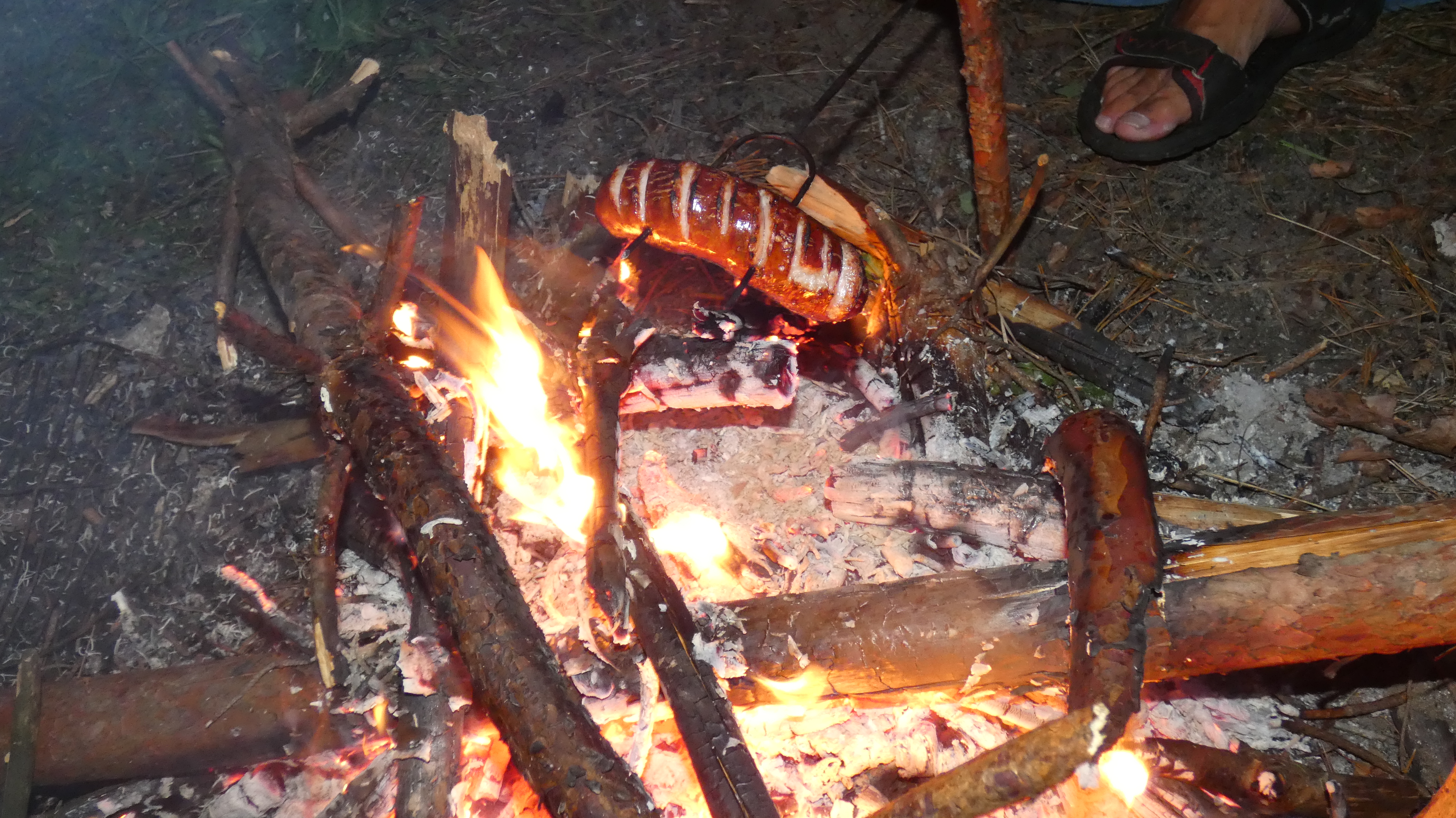 p1150501.jpg