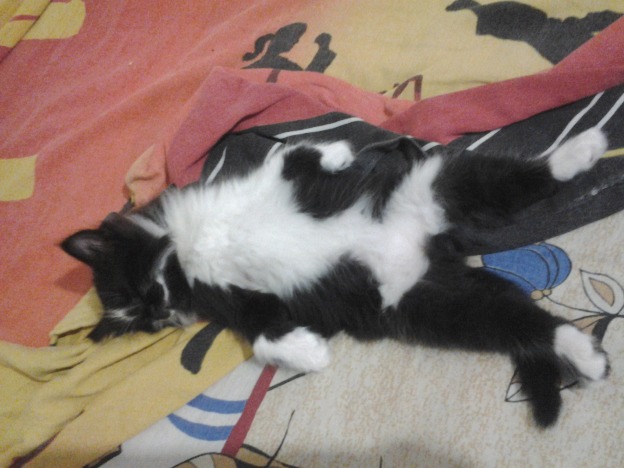 20141019_225420.jpg