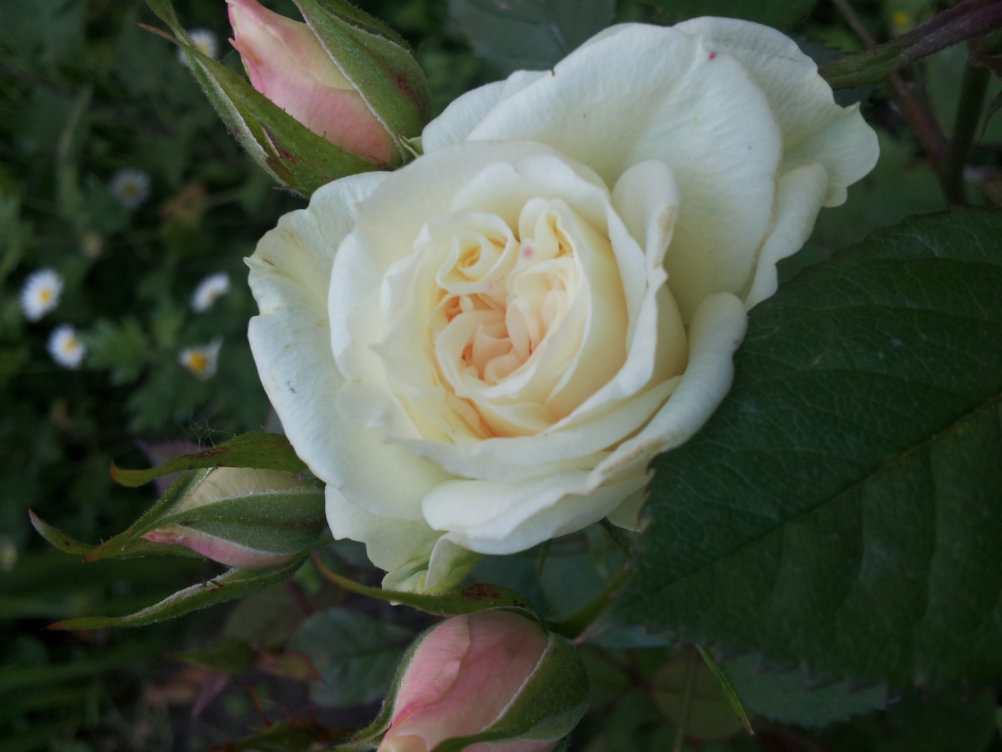 20160506_151338.jpg