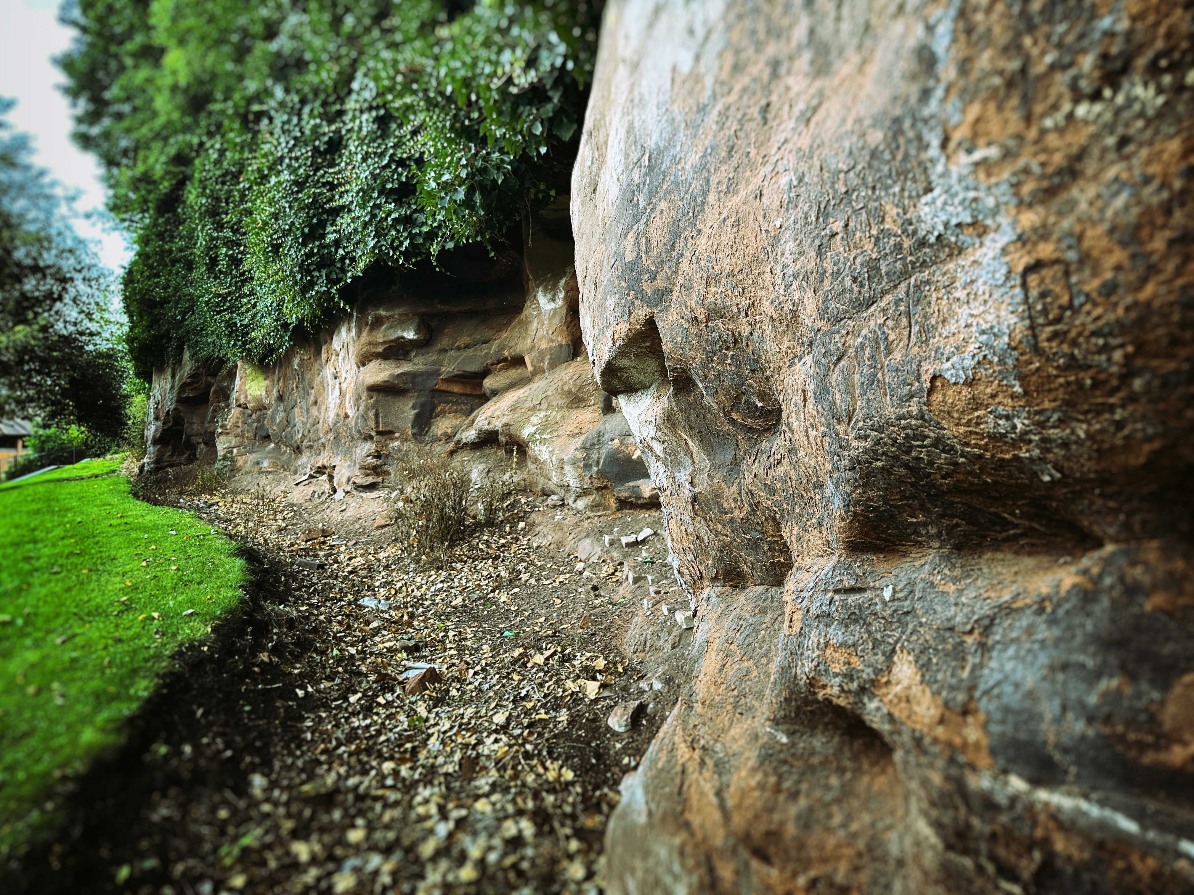 alt