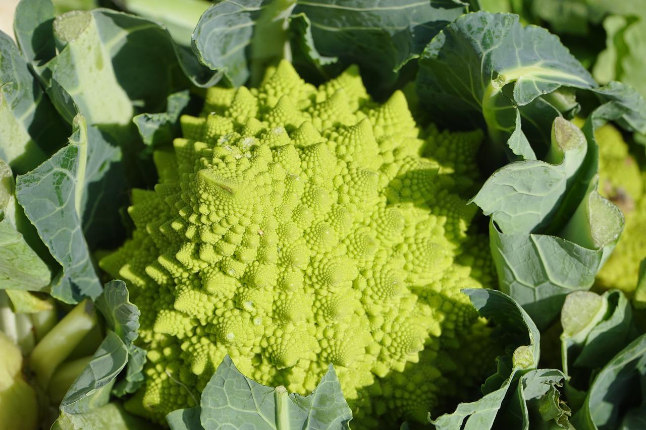 romanesco_318157_1280