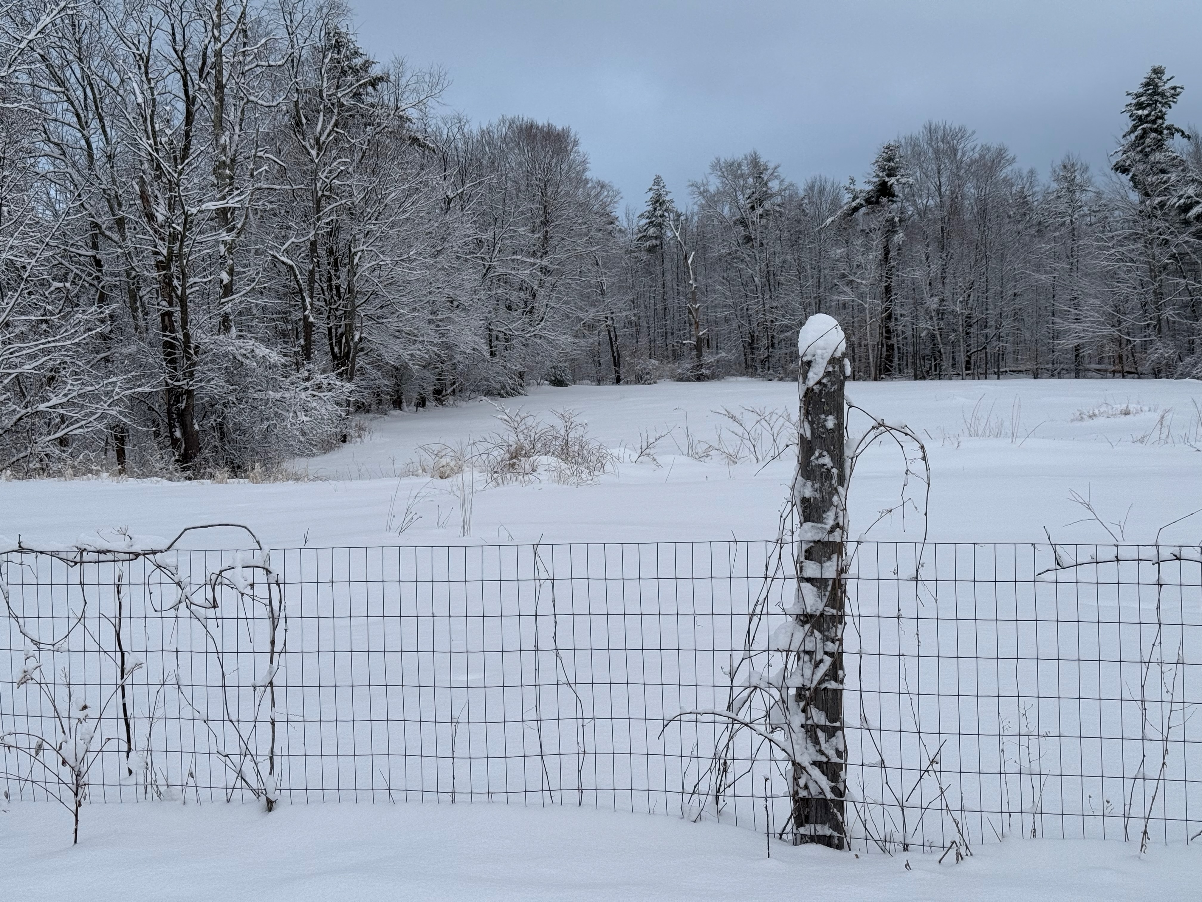 Fencepost