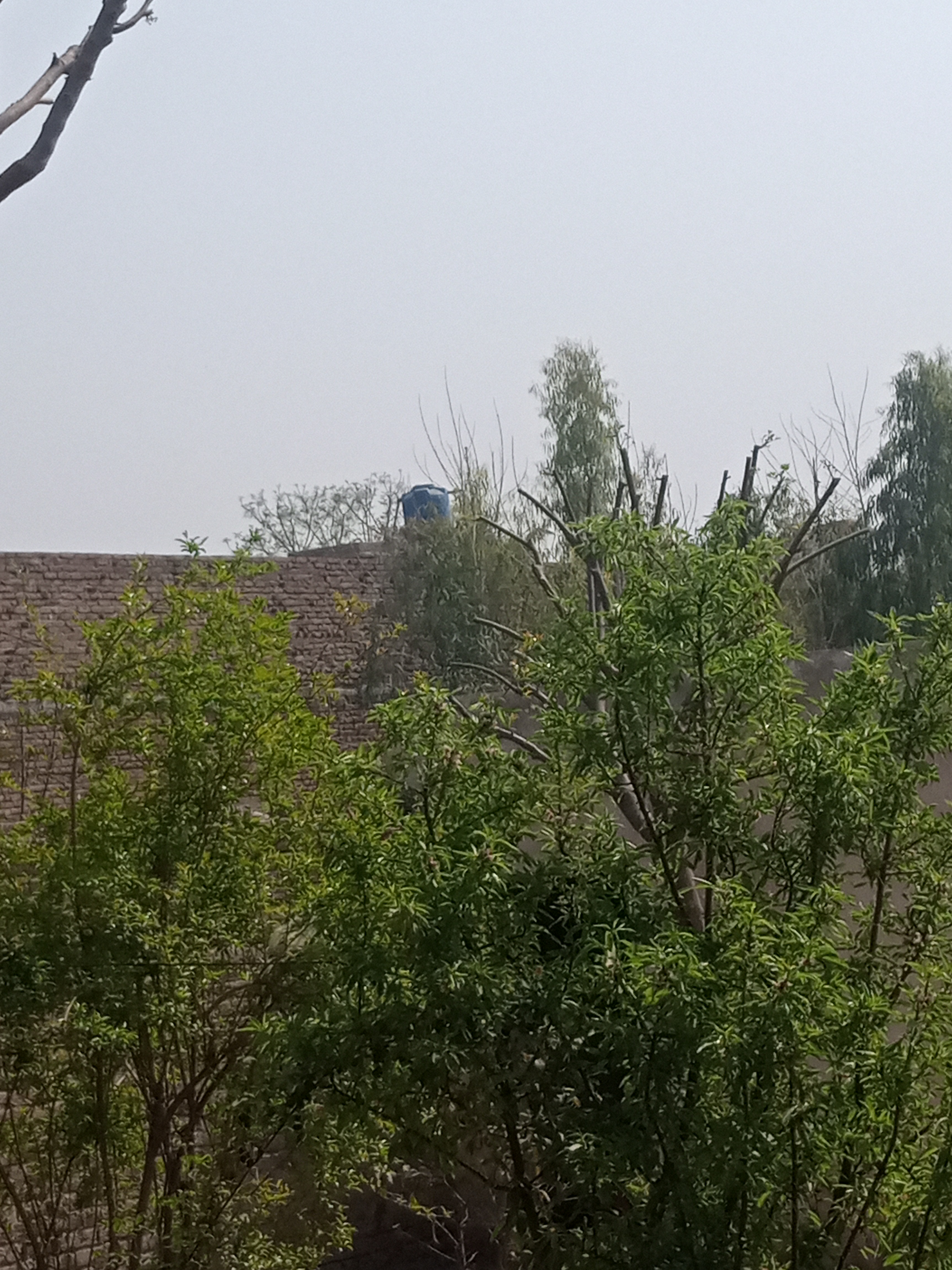 Our village