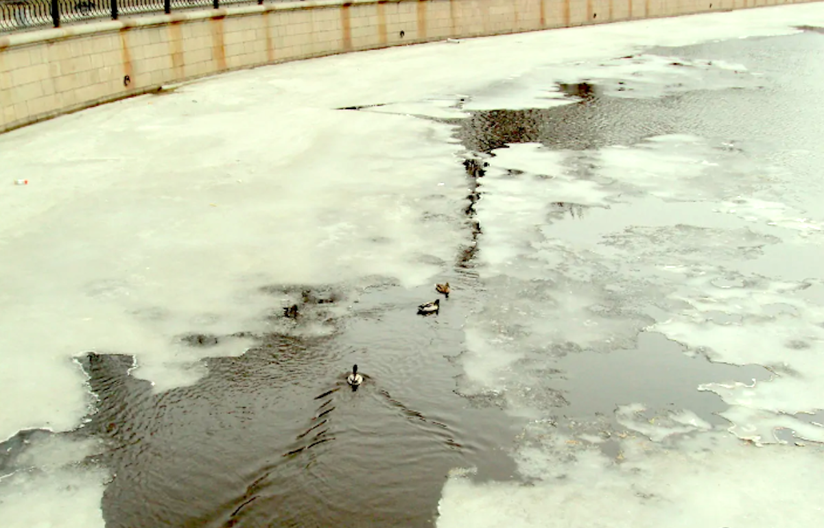 This photo is mine, I took it in St. Petersburg (Russia)