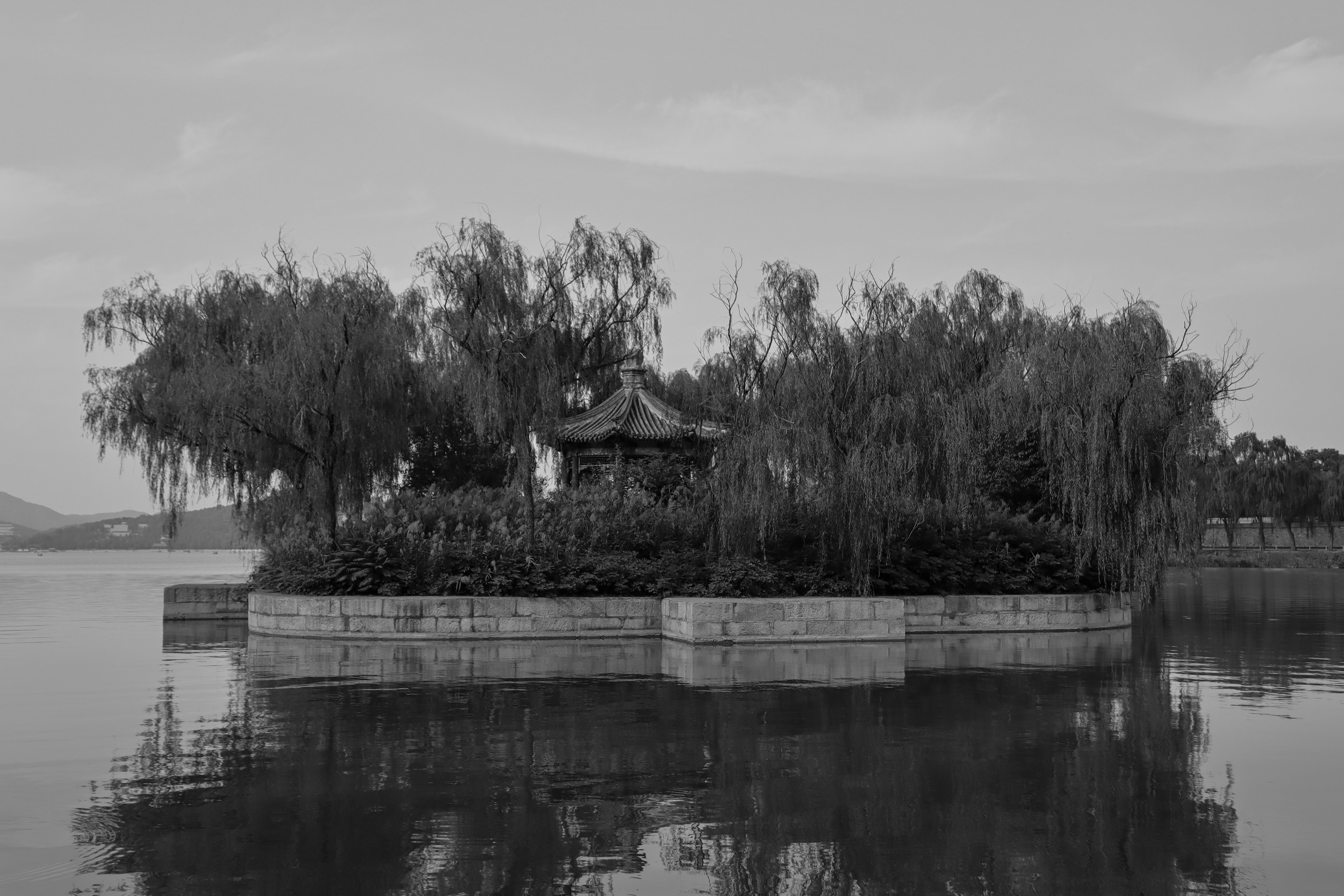small_island_with_trees_in_the_middle_of_a_lake.jpg