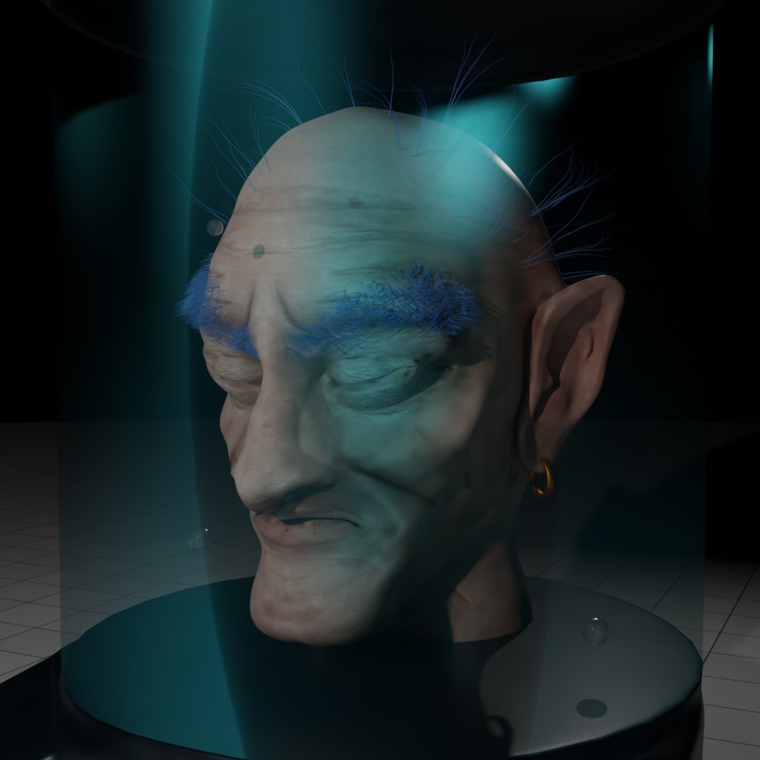 cabeza_splinter4.jpg
