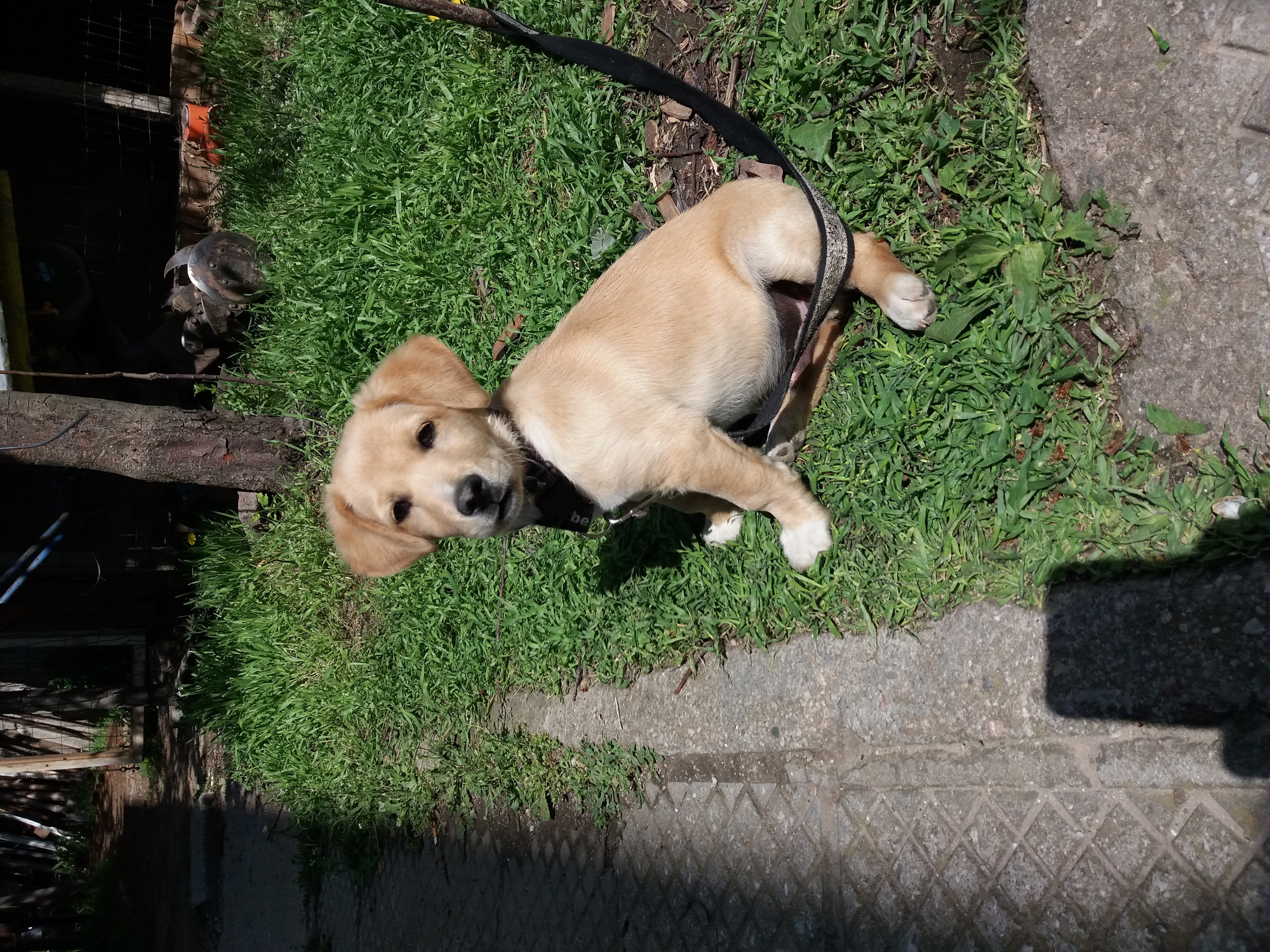 20170419_112414.jpg