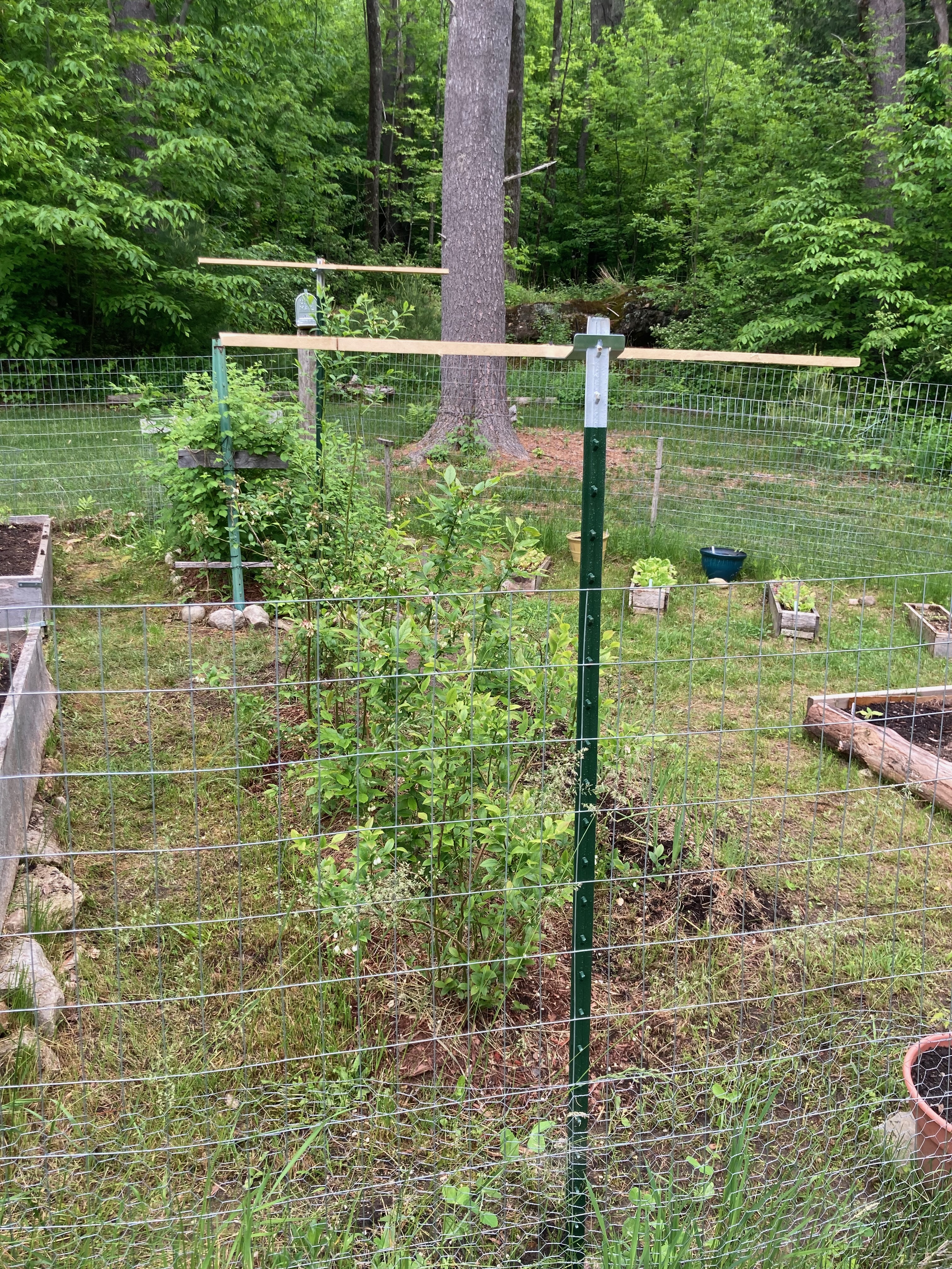 Posts for nets