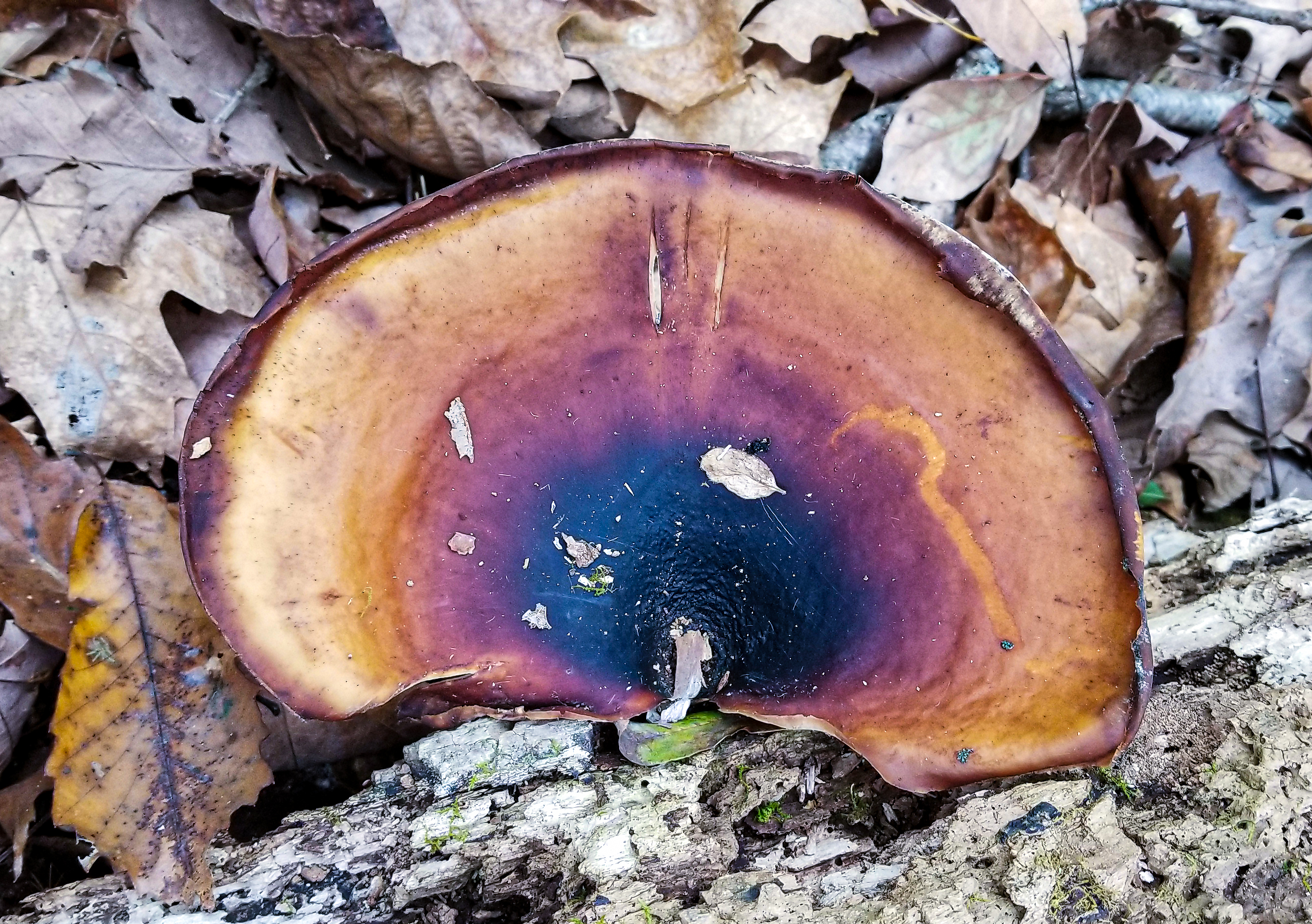 20211023_123709_copy.jpg