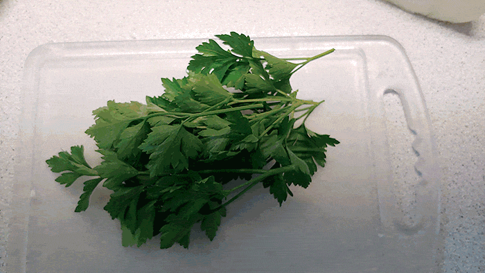apomidor4.gif