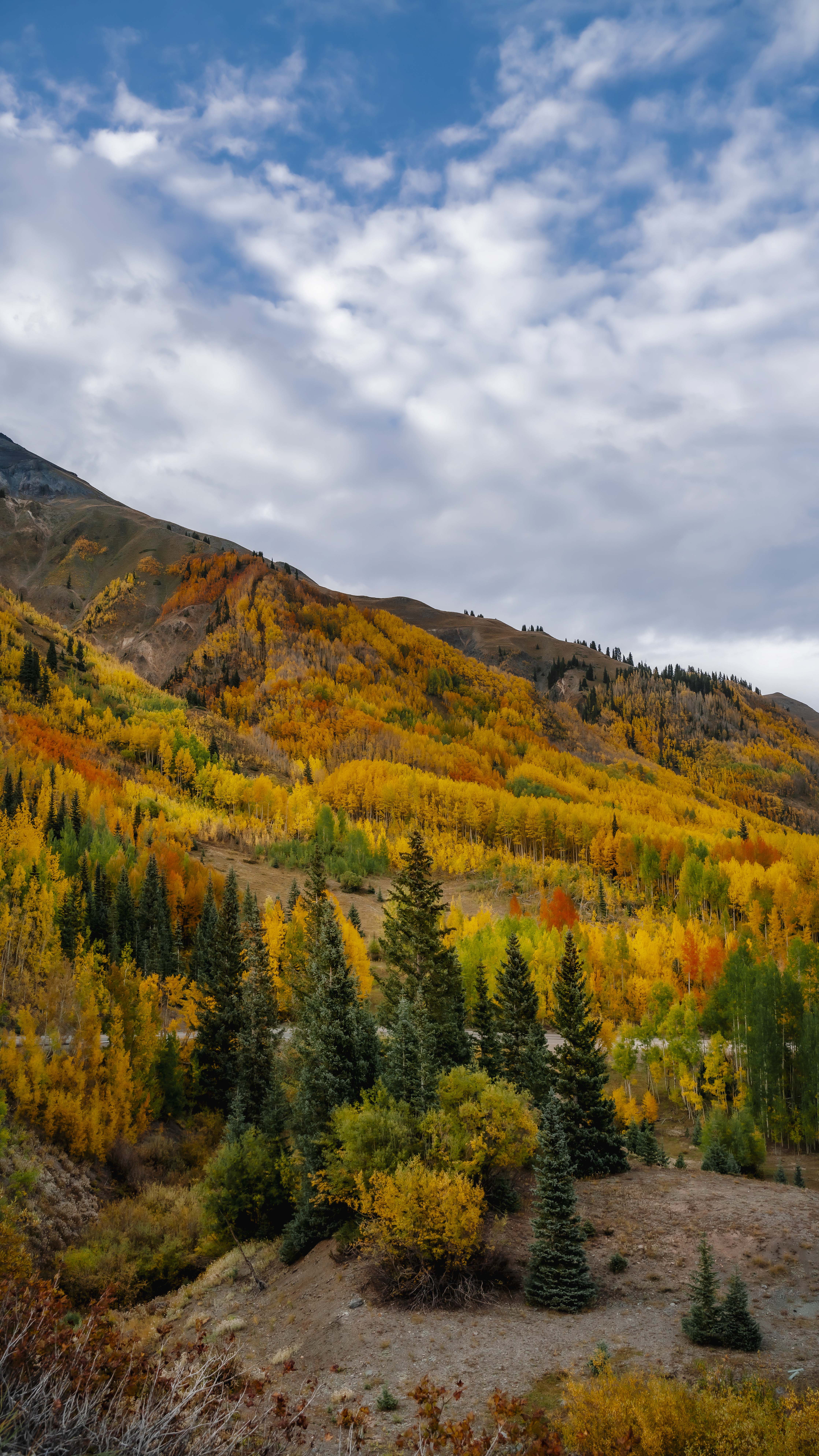_dsc0668_2.jpg