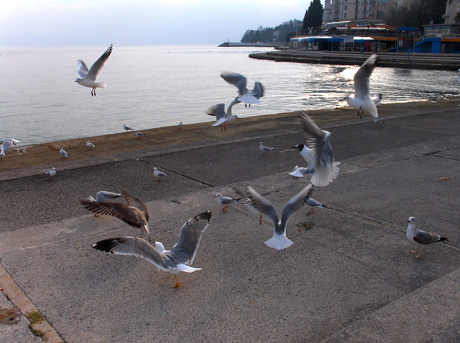 lmac83final_myphoto.jpg
