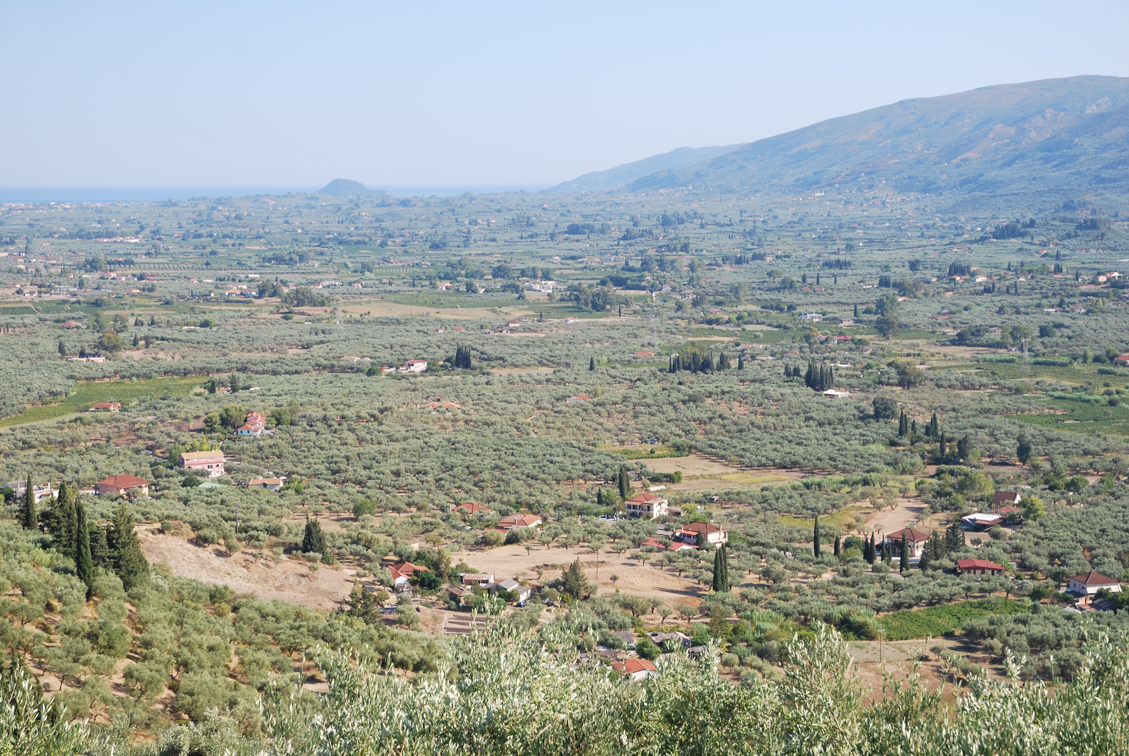 dsc_0207.jpg
