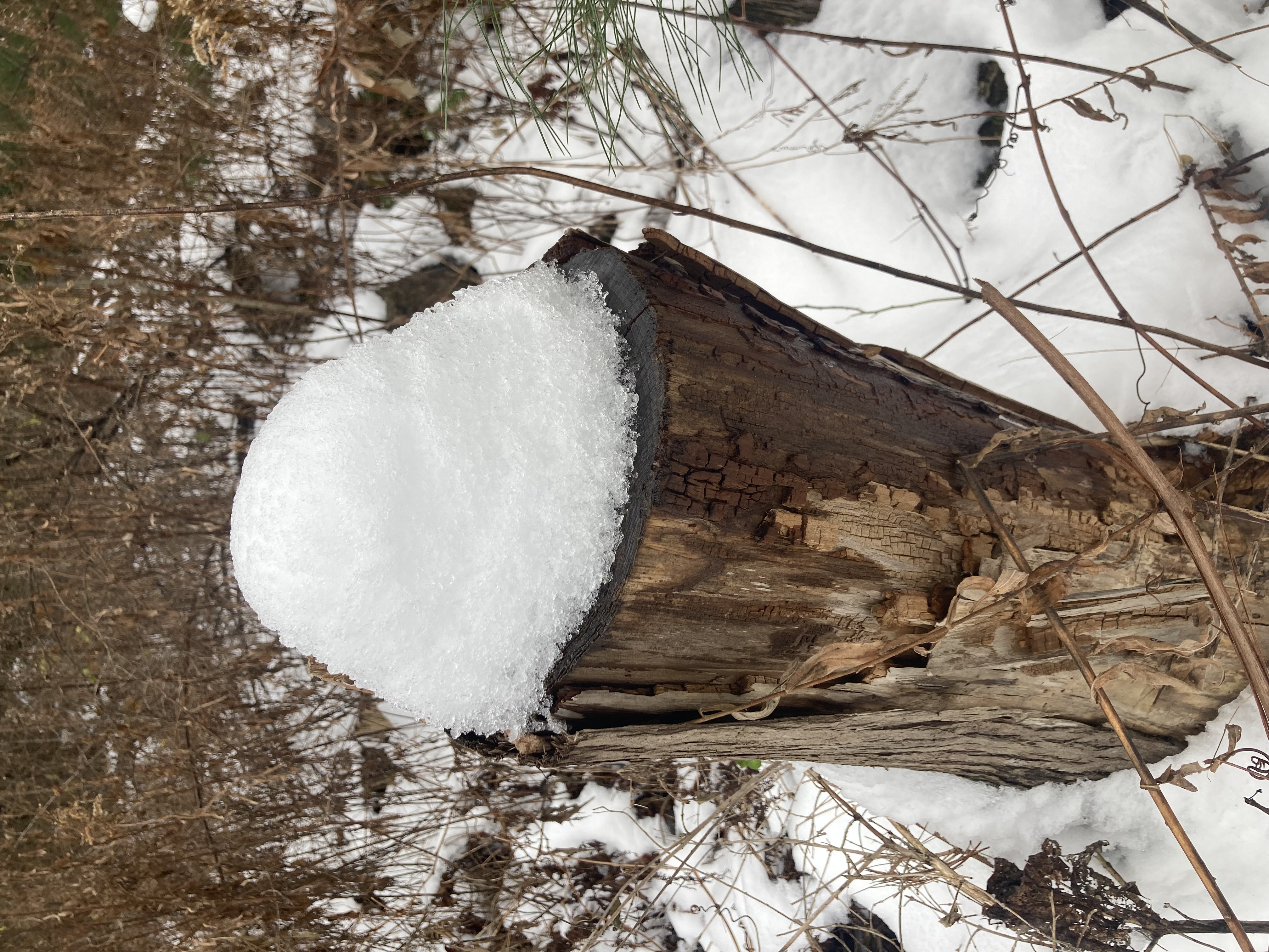Snowcap