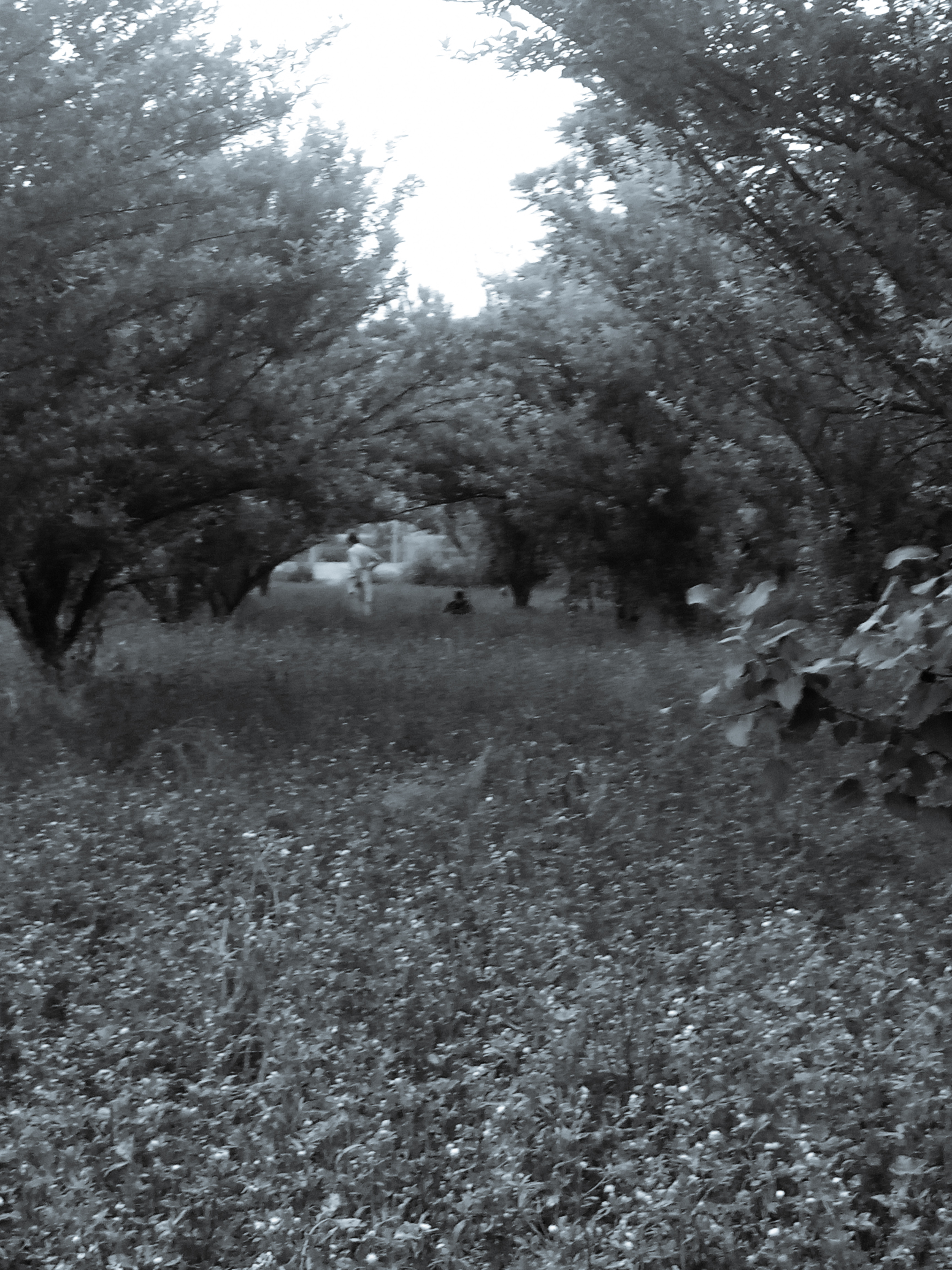 Working in farm