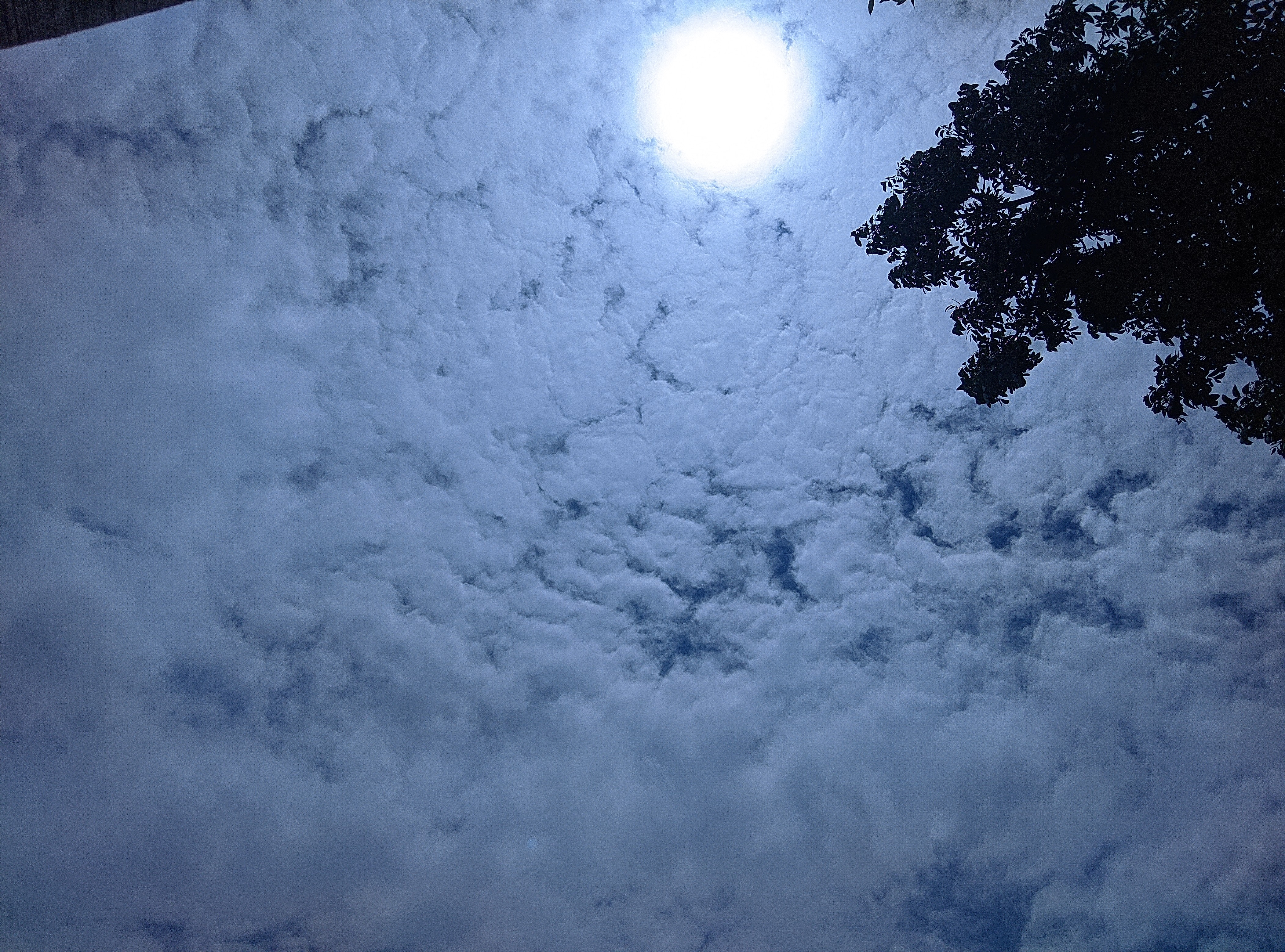 Phone model: Vivo Y20 V2027, Date &Time-August 11, 2022, 12:23pm, Shot: Tr-cam Comfig Xml- Sunset by Rayan.xml