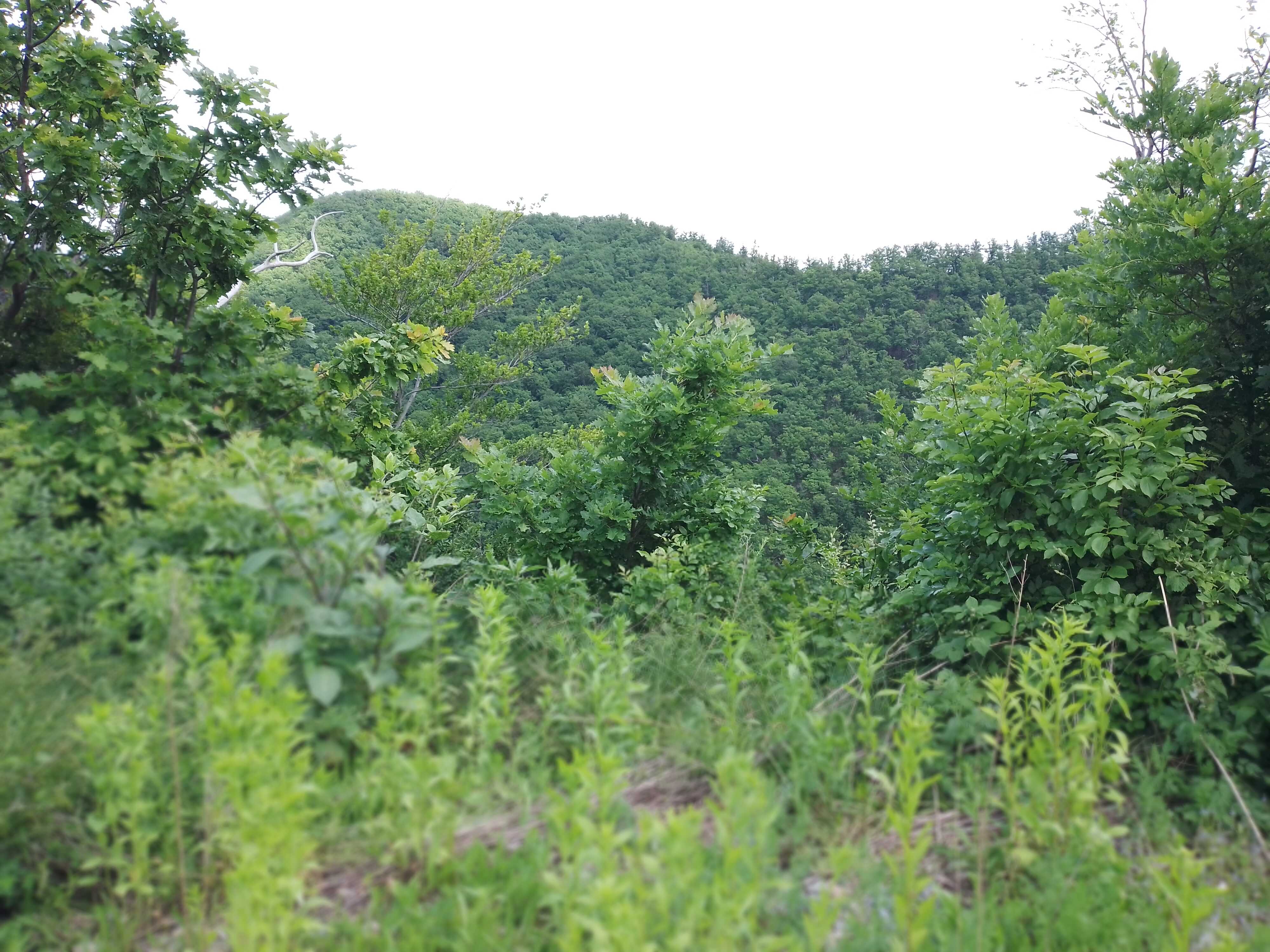img_20210531_124400_optimized.jpg