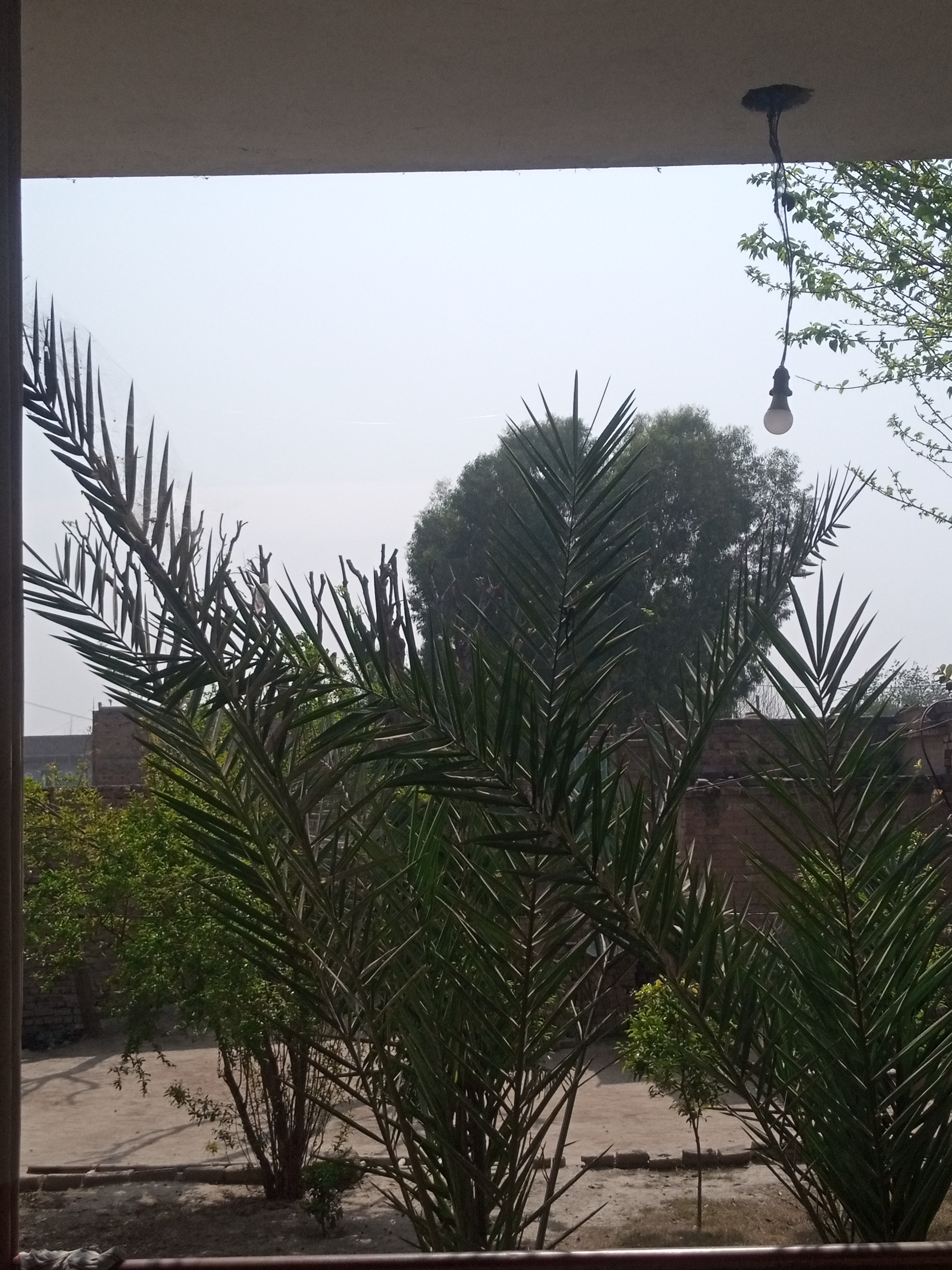 Our village
