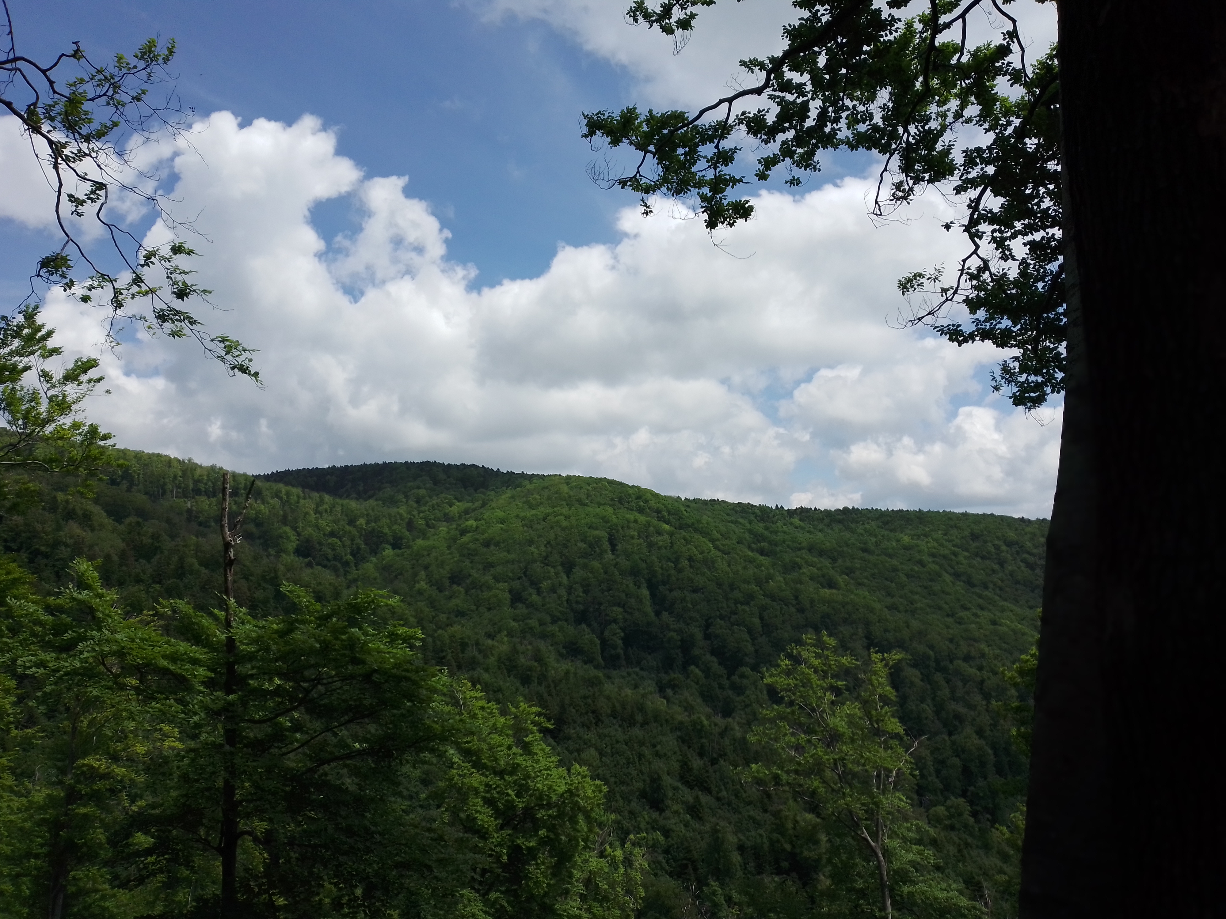 img_20210531_113823.jpg