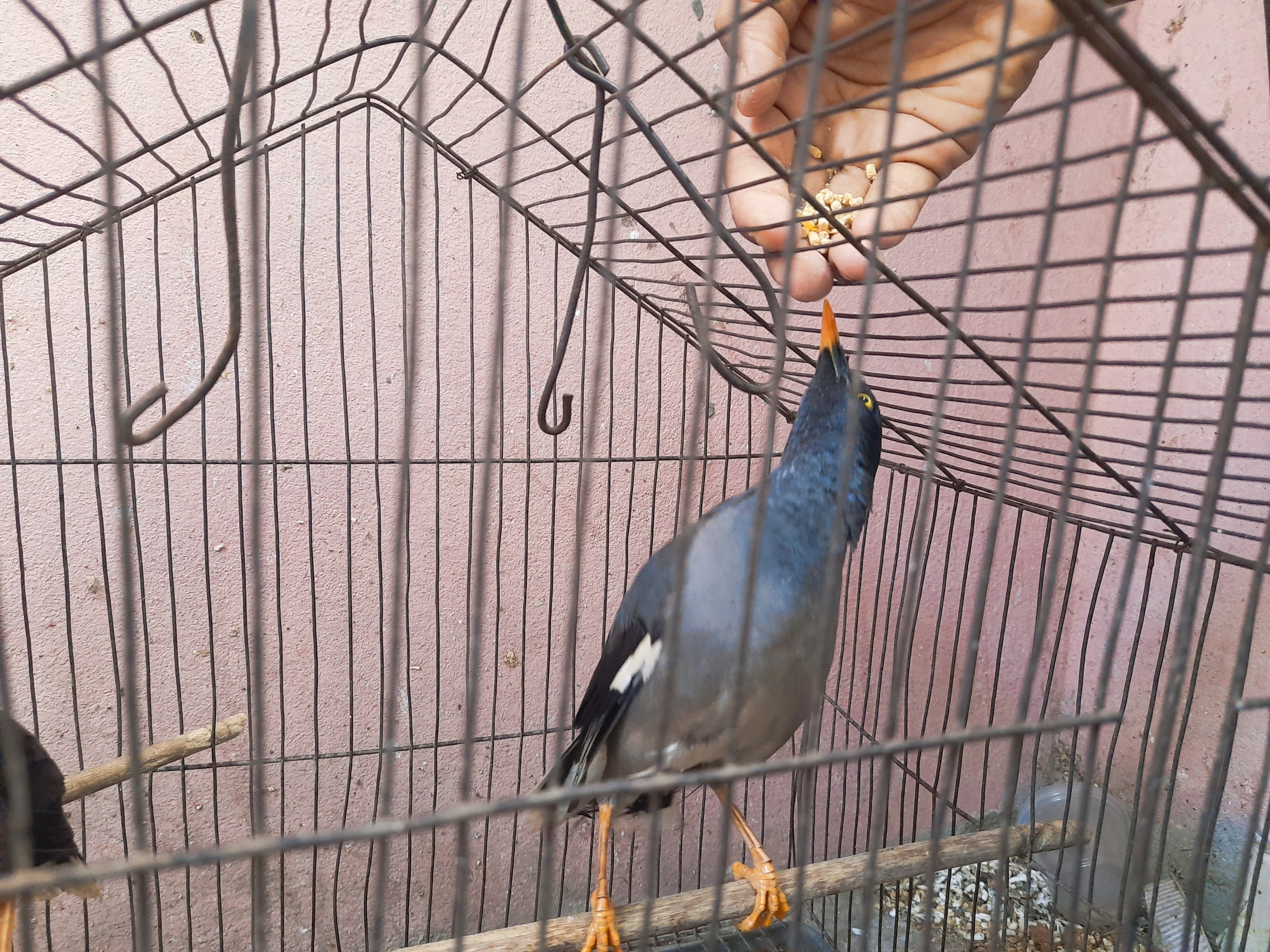koloro_1621663827502.jpg
