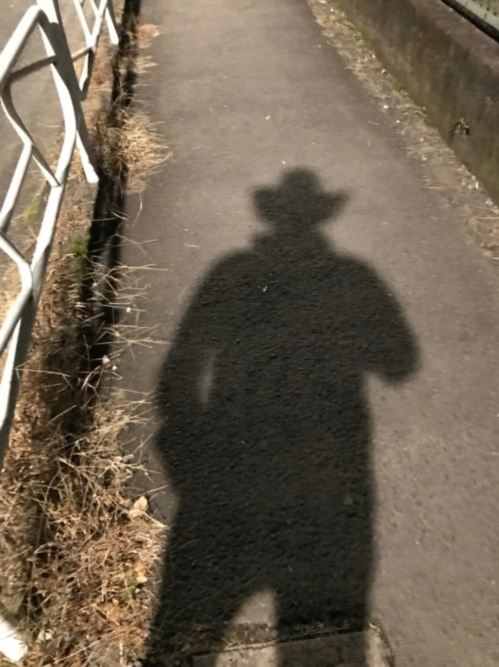 img_0.2905371942286757.jpg