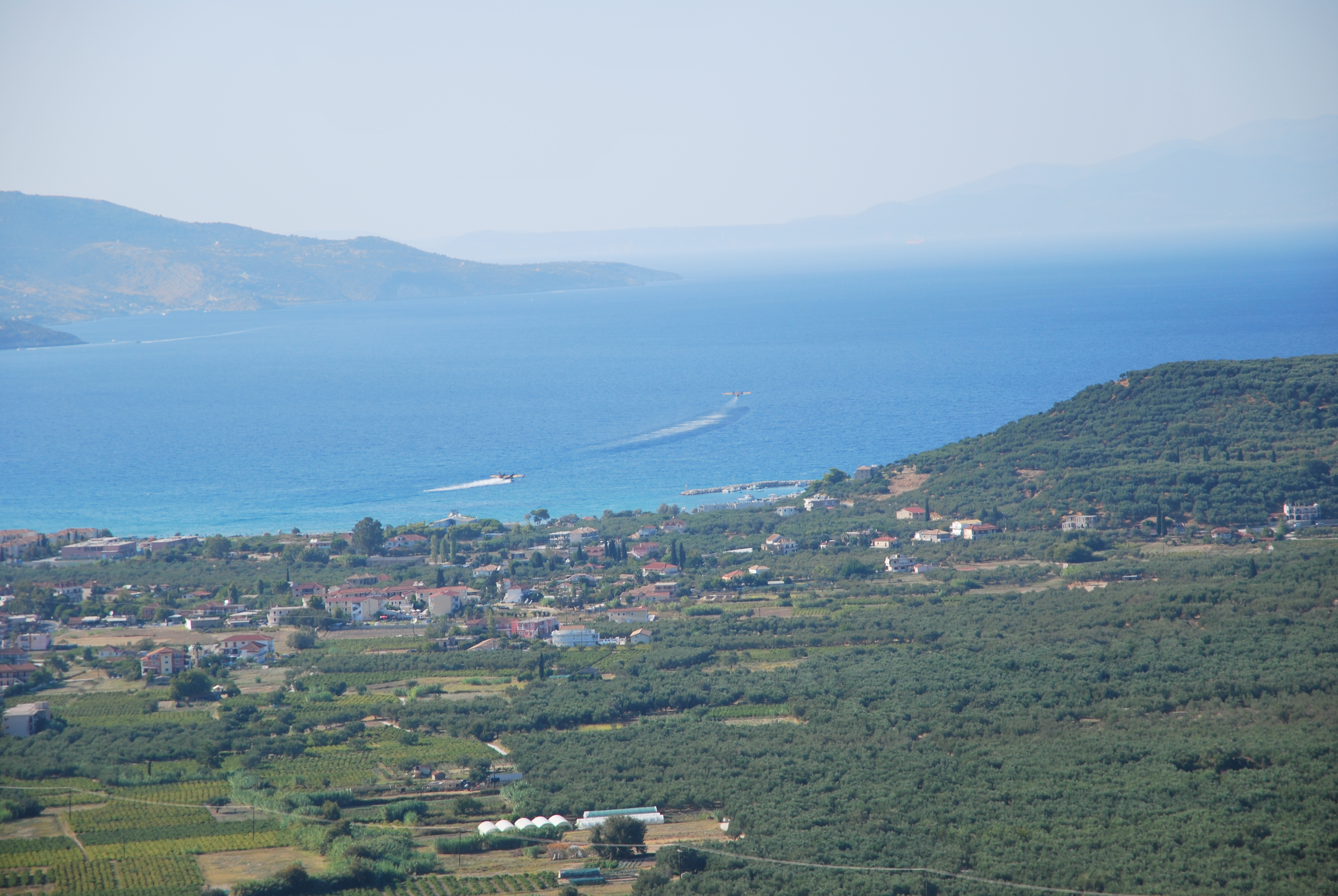 dsc_0226.jpg