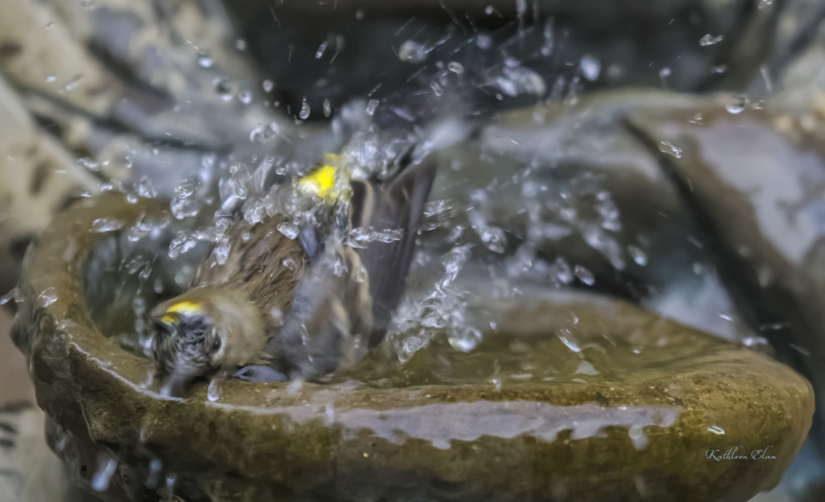 the_bath_scene_2.jpg