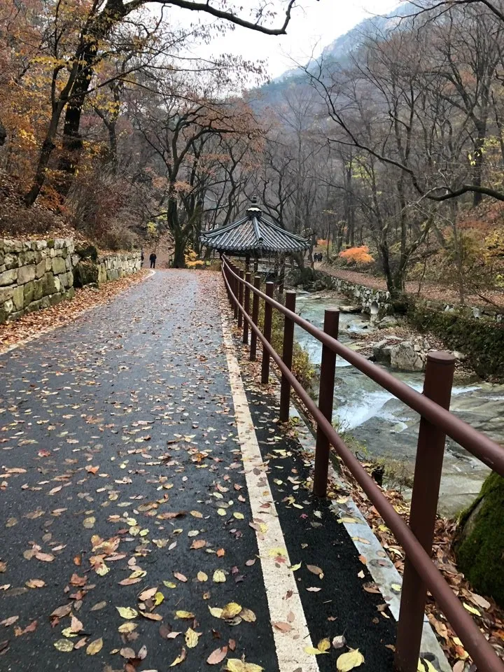 KakaoTalk_20181109_221529175.jpg