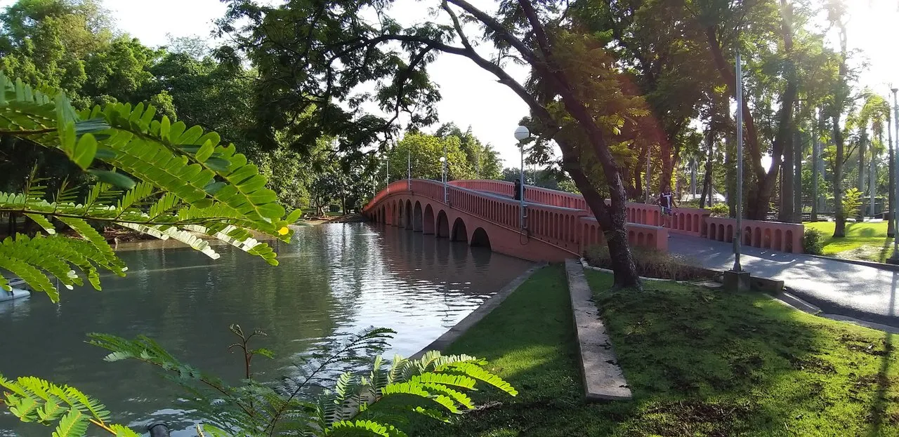 A16-Chatuckua%20Park%20-May%202020%20366.jpg