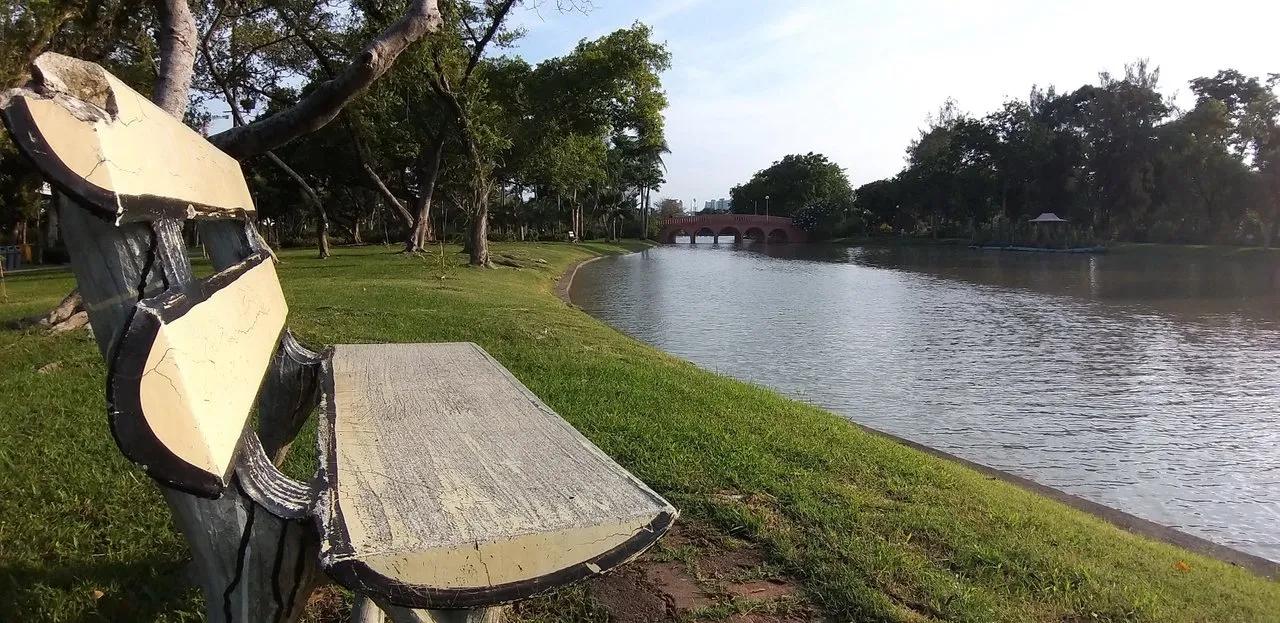 A16-Chatuckua%20Park%20-May%202020%20409.jpg