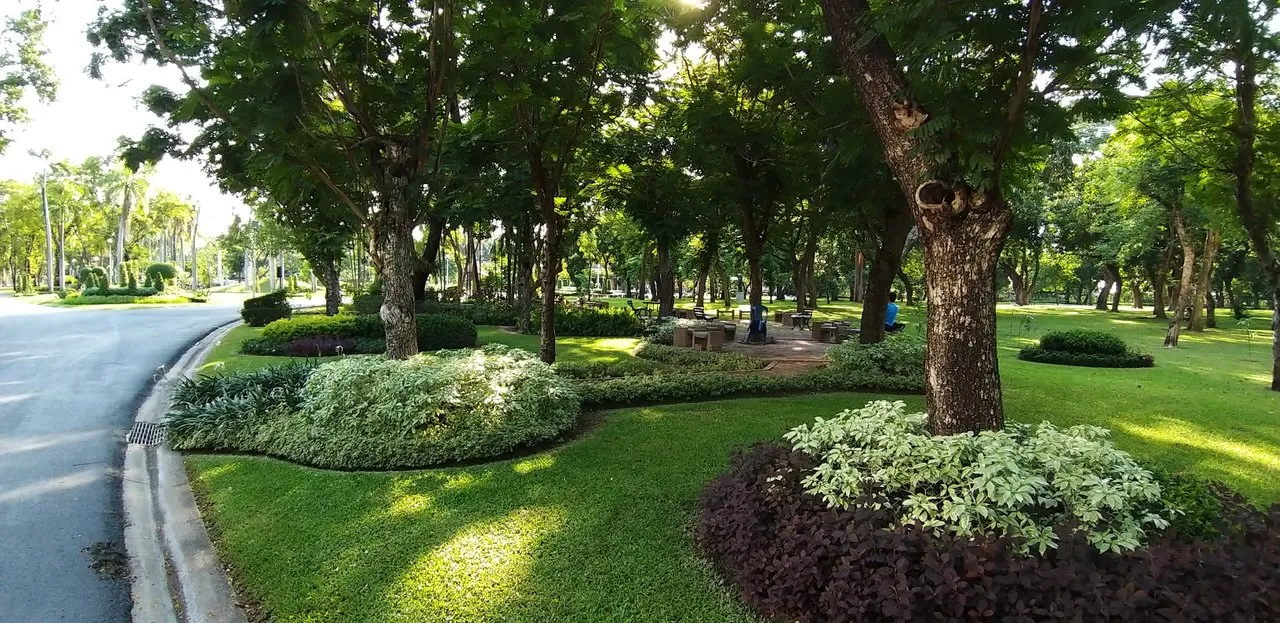 A16-Chatuckua%20Park%20-May%202020%20364.jpg