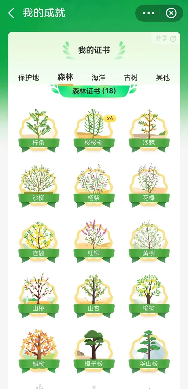 5eabbaa146192c651e600e54a9918232.jpeg