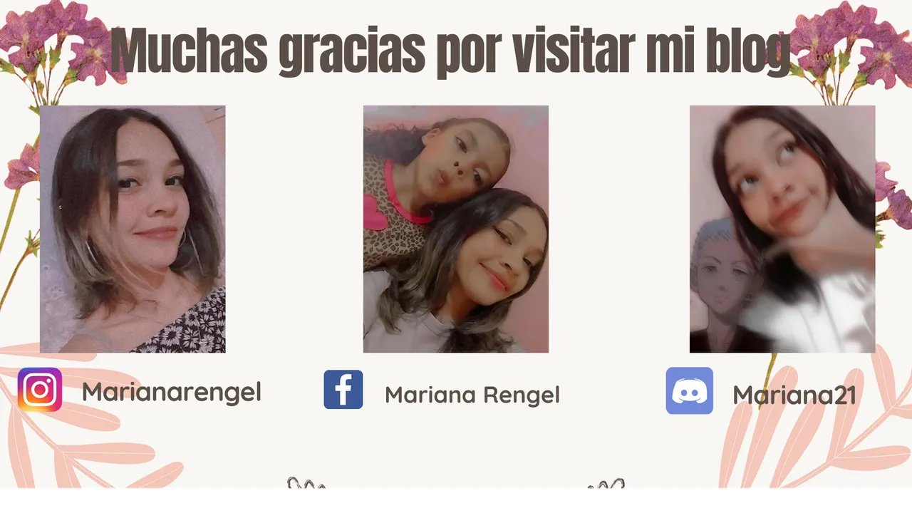 Muchas gracias por visiar mi blog.png