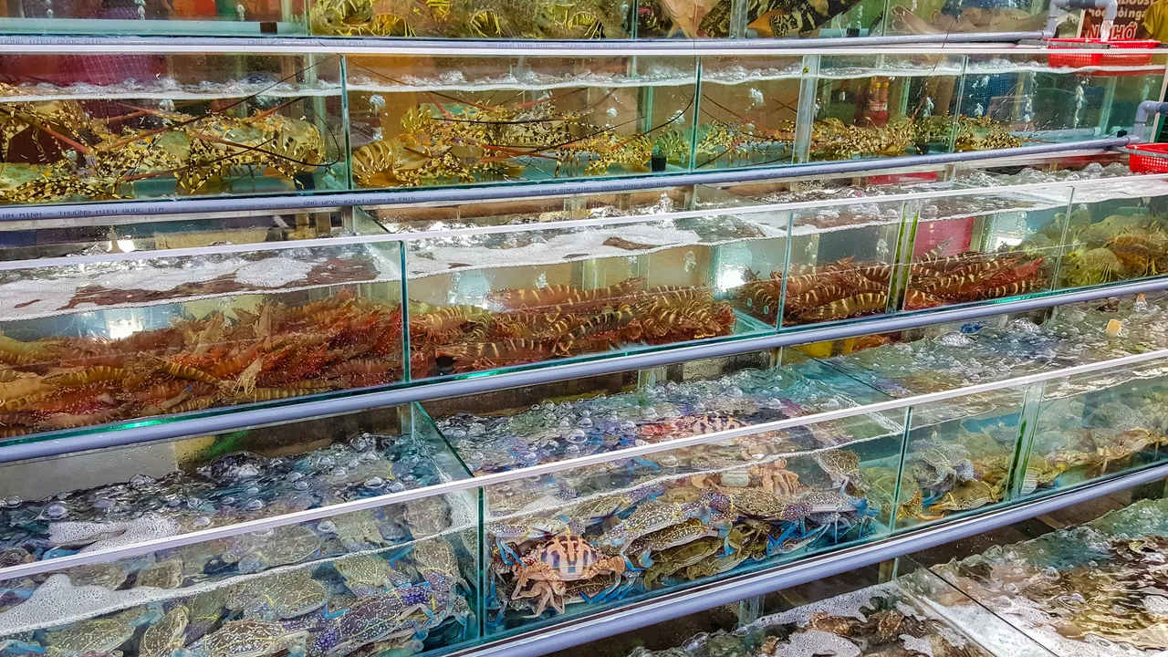 Dinh Cau night market Phu Quoc 2.jpg