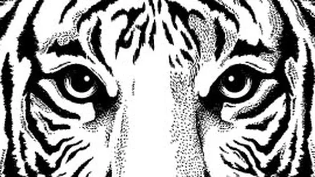 Shared From Dlike