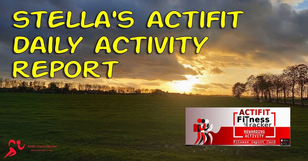 My Actifit Report Card: December 10 2025